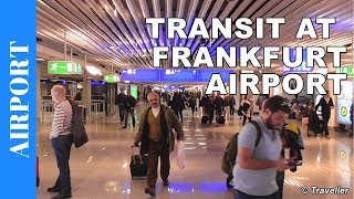 TRANSIT WALK AT FRANKFURT Airport FRA Terminal 1  Connection Flight Transfer Arriving amp Departing [upl. by Gnurt]