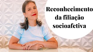 Reconhecimento de filiação socioafetiva  Natália Fachini [upl. by Eveivenej127]